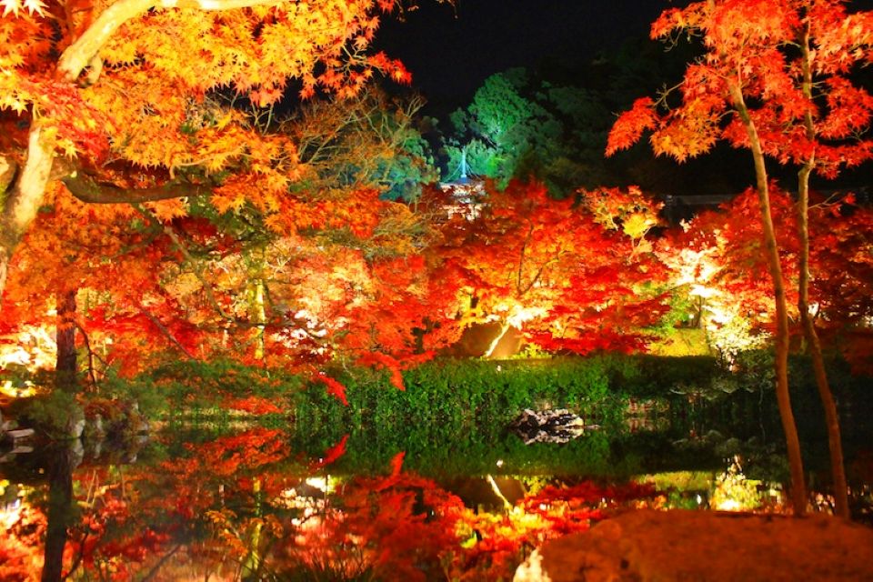 Autumn foliage and reflection in a Japanese garden in Kyoto