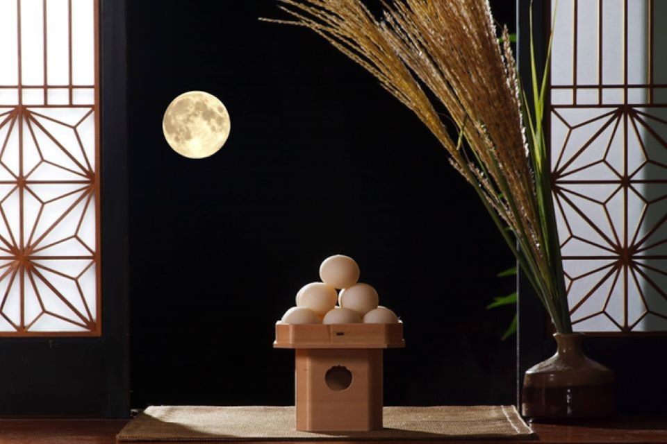 Traditional tsukimi moon viewing setup with rice dumplings and full moon