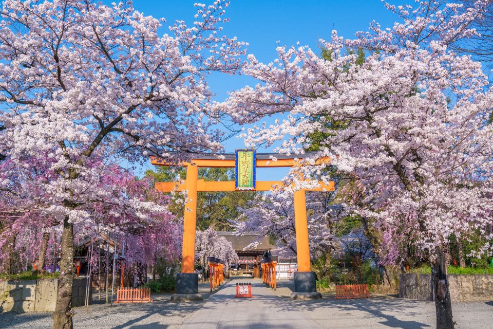 Visiting shrines in springtime